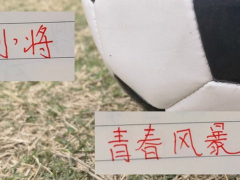 海港2024引进王振澳 2025拿下吾米提江 2026是杨希