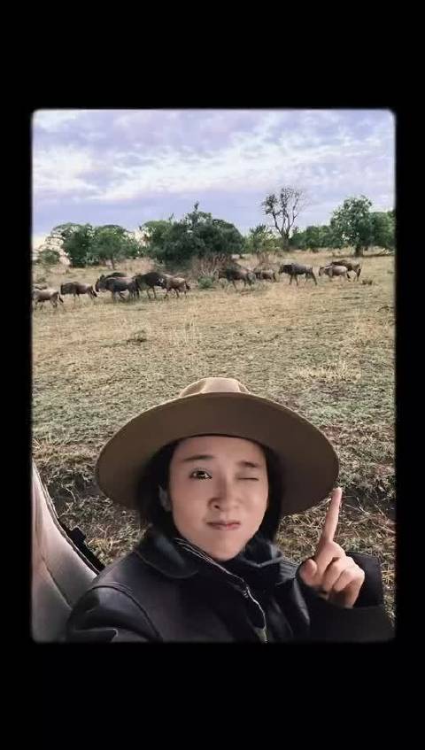 唐艺昕非洲vlog如动物世界，镜头捕捉草原野生动物