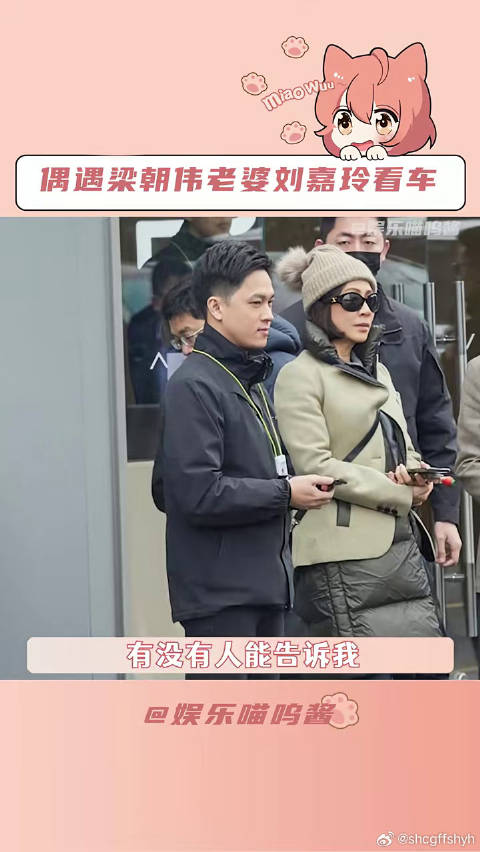 偶遇刘嘉玲，问阿维塔12代言人老婆要花钱吗