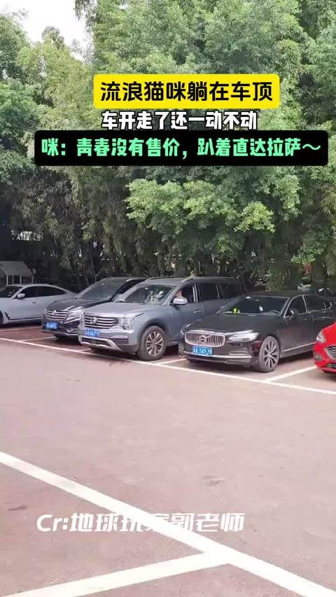 万一这车是咪买的呢？小咪：啥广汽传祺？是小咪汽车哈哈