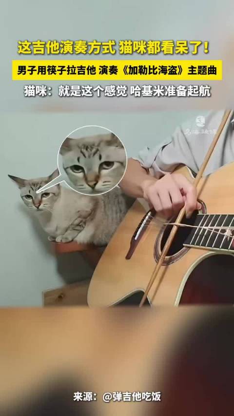 男子用筷子拉吉他，猫咪看呆，哈基米准备起航