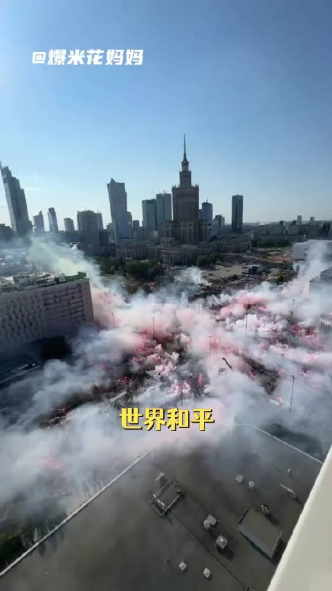 我们只愿战争 无人机