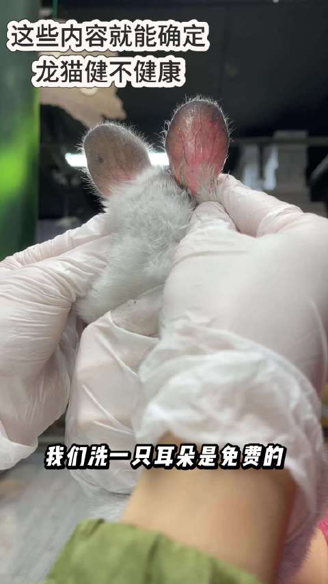 洗一支耳朵是免费的