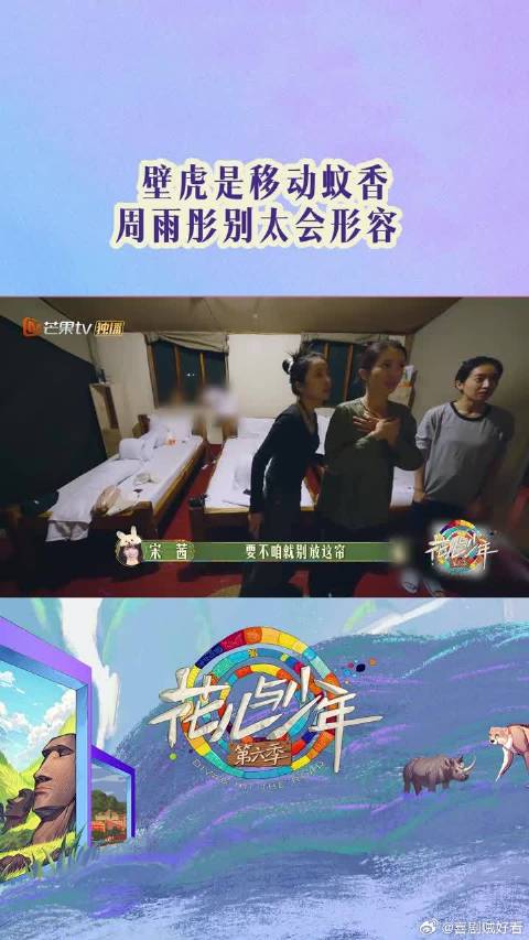 周雨彤安慰金晨宋茜，壁虎是移动蚊香