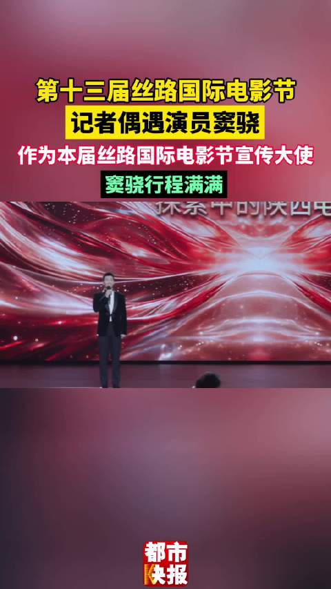 第十三届丝路国际电影节，记者偶遇演员窦骁…