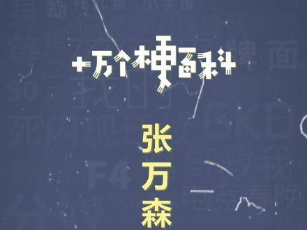 十万个梗百科：张万森，初雪悄然降临