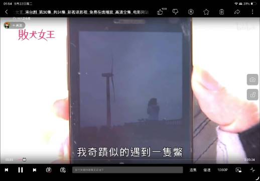 这里我都看哭了，无双妹真的好有魅力