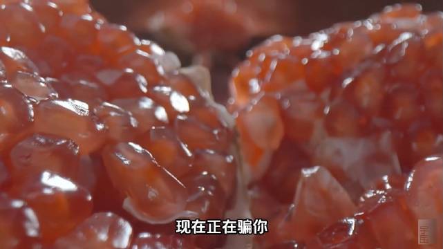 一颗水果让鸟当了9500万年免费快递员！