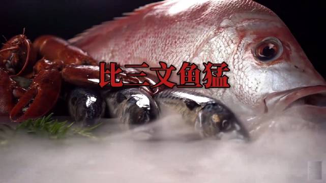 一条几块钱的鱼打败了所有网红鱼，你天天路过从来没弯过腰！