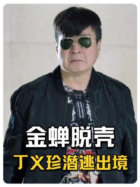 《人民的名义》深度解析｜丁义珍落网始末，揭开权力迷局里的人性暗涌
