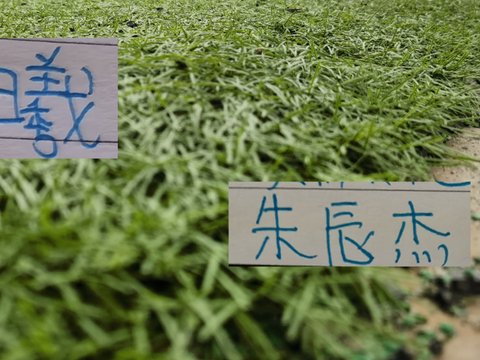 朱辰杰没有吃到黄牌！申花队长吴曦回应是否会出战明年的亚洲杯