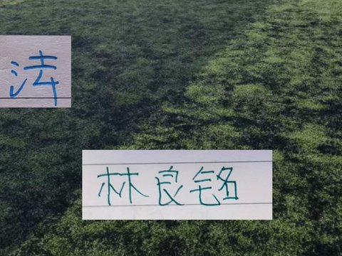 申花的马纳法 北京国安的林良铭 海港安佩姆 今年谁会续约？