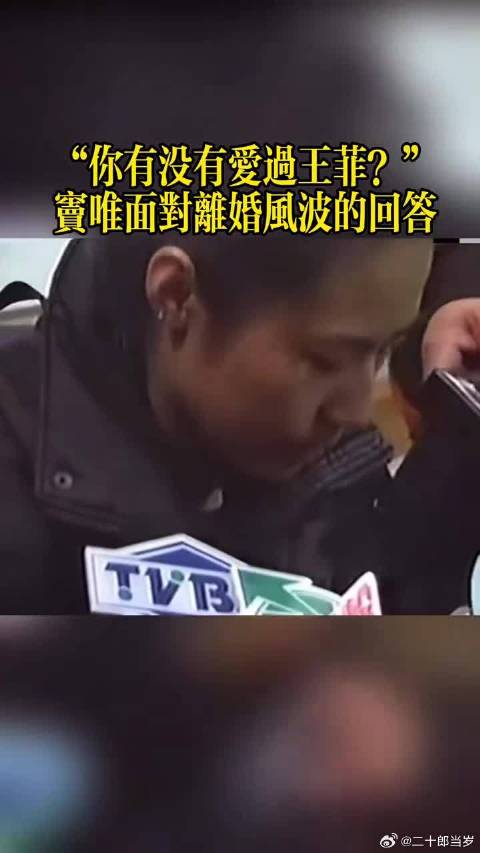 记者：你爱过王菲吗？ 窦唯：爱过