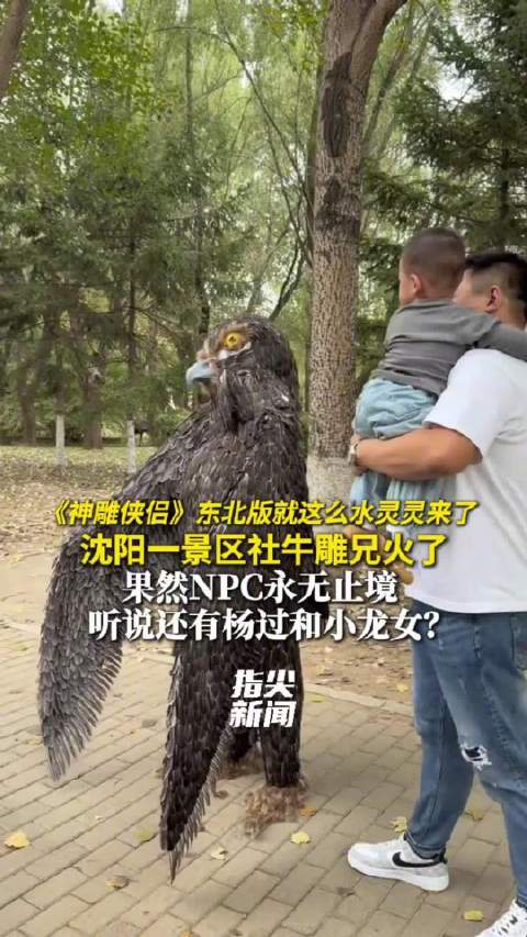“我是雕！你才是老鹰！”沈阳一景区社牛NPC“雕兄”走红！