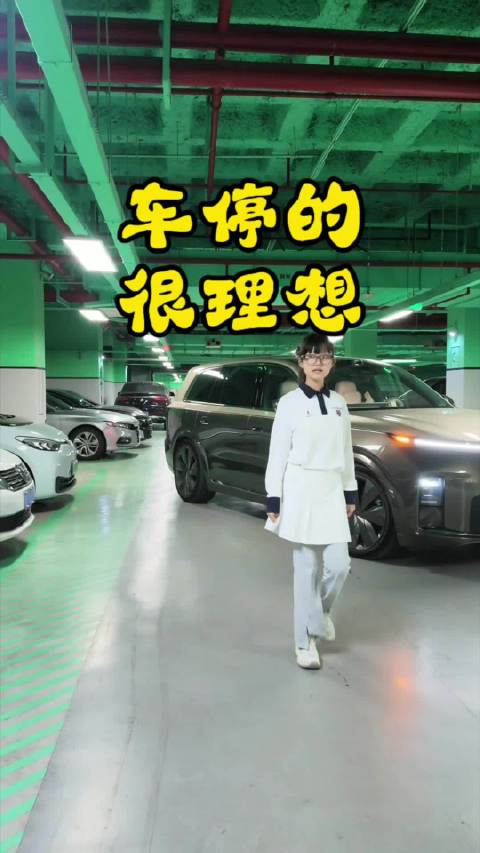 戴上Livis眼镜， 想怎么停，就跟理想同学说！ 4年前的Max车型也能用