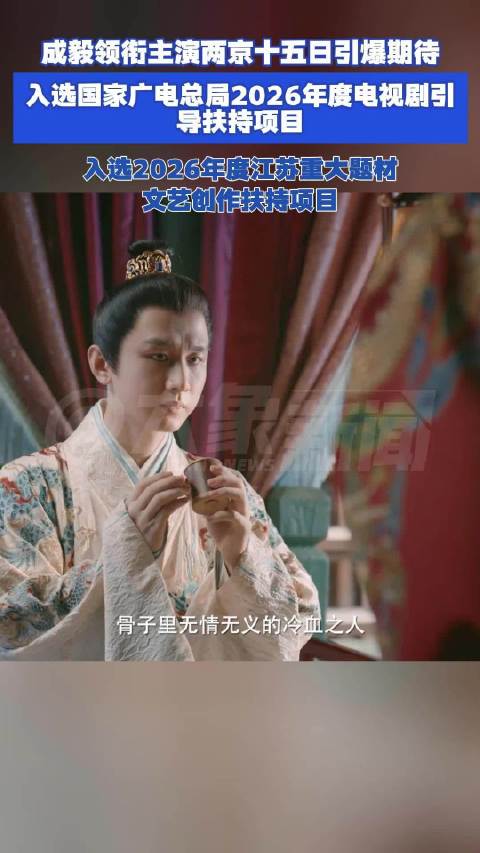 成毅两京十五日国家级省级扶持项目