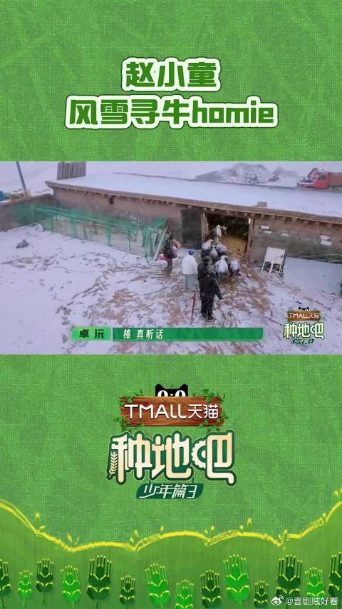 赵小童风雪寻牛homie
