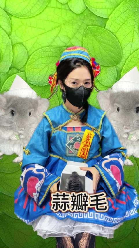 龙猫也像猫咪一样有蒜瓣毛诶！