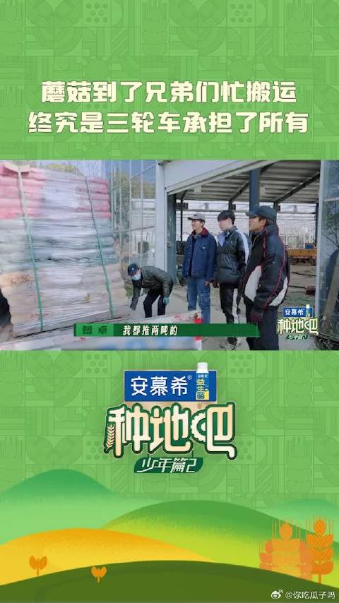 蘑菇到货李耕耘鹭卓赵小童忙搬运，三轮车承担所有