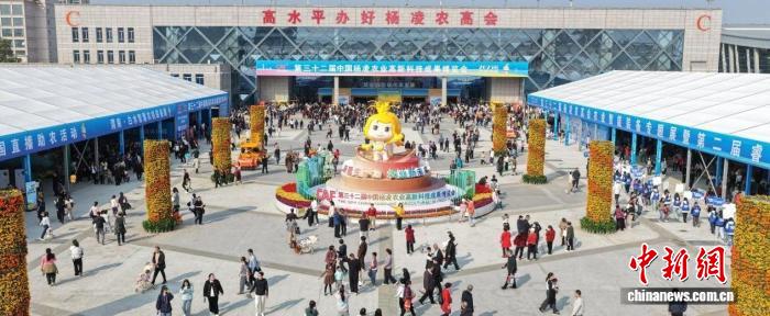 深化国际农业交流合作 第三十三届杨凌农高会50余国企业报名参展 深化国际农业交流合作 第三十三届杨凌农高会50余国企业报名参展