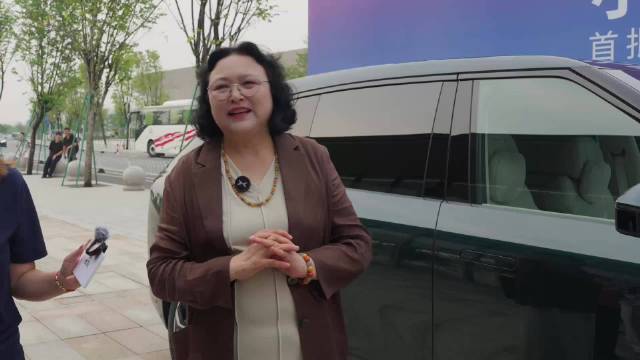王凤英回应何小鹏，内部争议由用户裁决