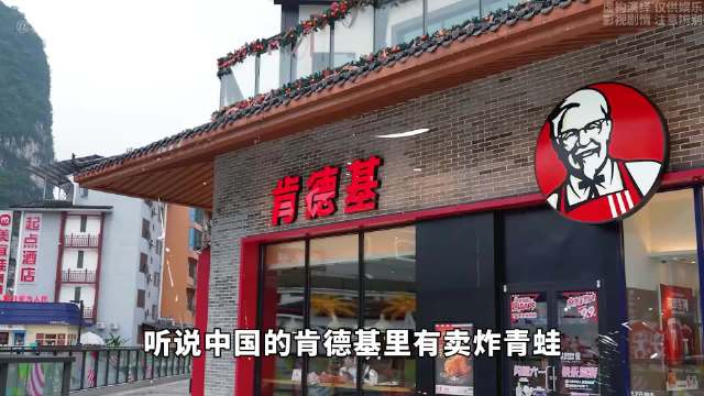 哥斯拉博主初到中国旅游，全程小心提放，这真的是封闭国家吗！