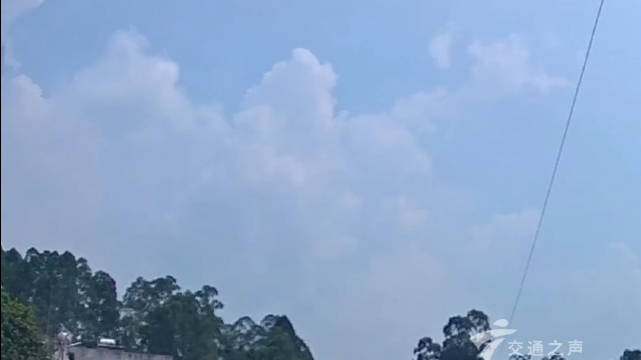 两轮车突然从路边冲出，大货车避让不及，发生事故