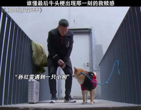 看到最后真的没绷住 极限挑战 黄渤 孙红雷