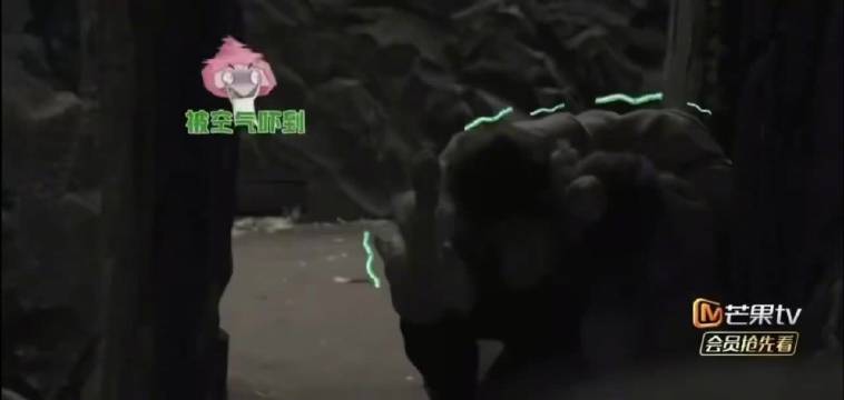 张真源密室突受惊吓，诚实爱豆脱口心里话
