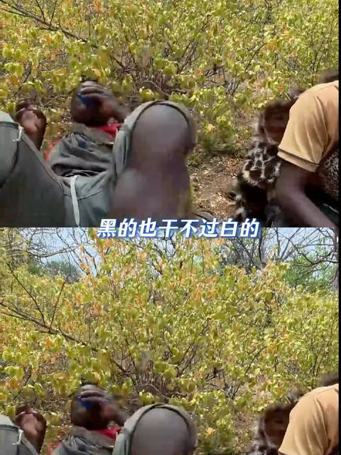 这不胡闹吗 给人家狩猎队干翻了