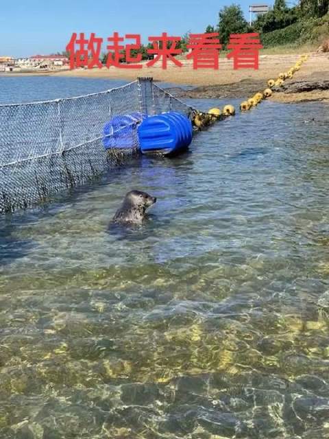 娜娜感慨：人心难测，不如潜入深蓝，独享宁静水域