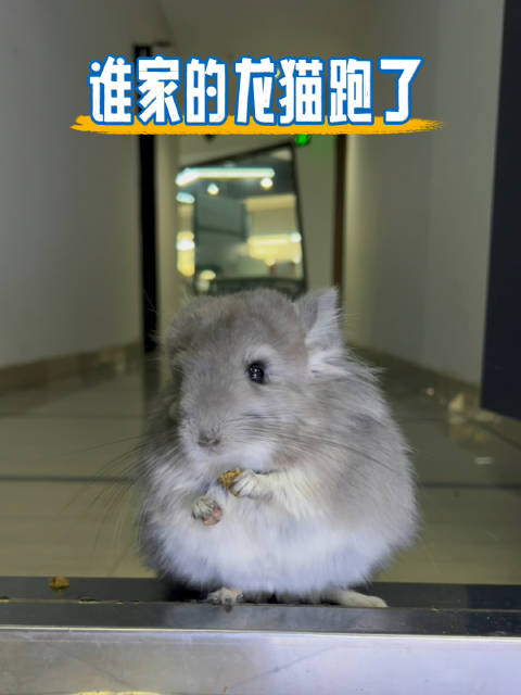 我是还回去？还是再卖一次，嘻嘻？