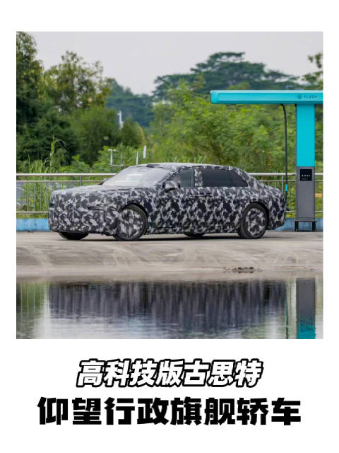 仰望行政旗舰轿车，比尊界S800更高端？坪山古思特？卖200万？