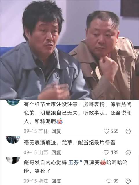 彪哥净说些那不甜不淡的就开头彪哥那个表情，目前国内演员没有能做到的