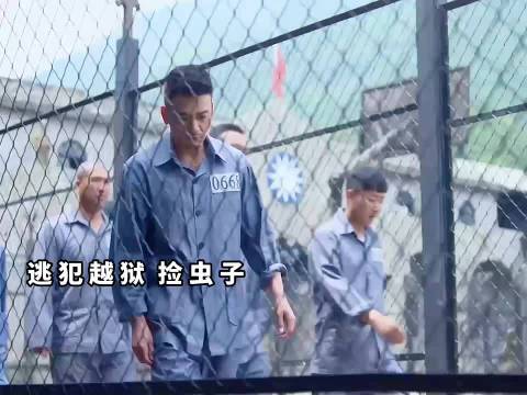 用虫子越狱
