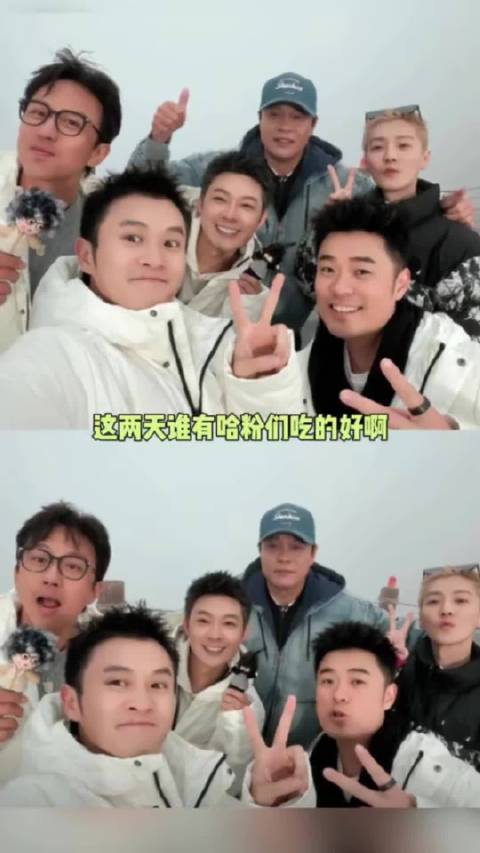 这下哈迷们是真的要幸福好几个月了！