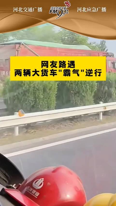 网友路遇两辆大货车“霸气”逆行