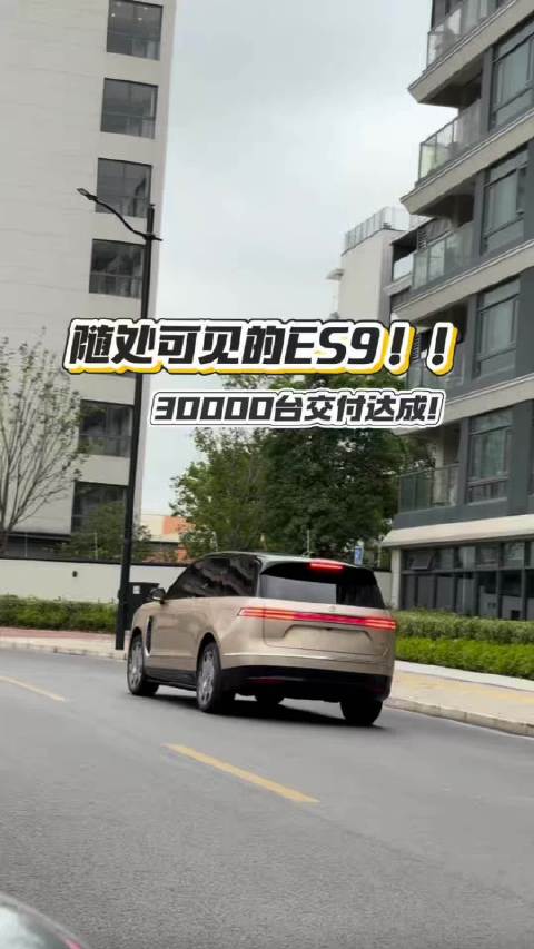 好奇三万个ES9车主的另一台车是什么？