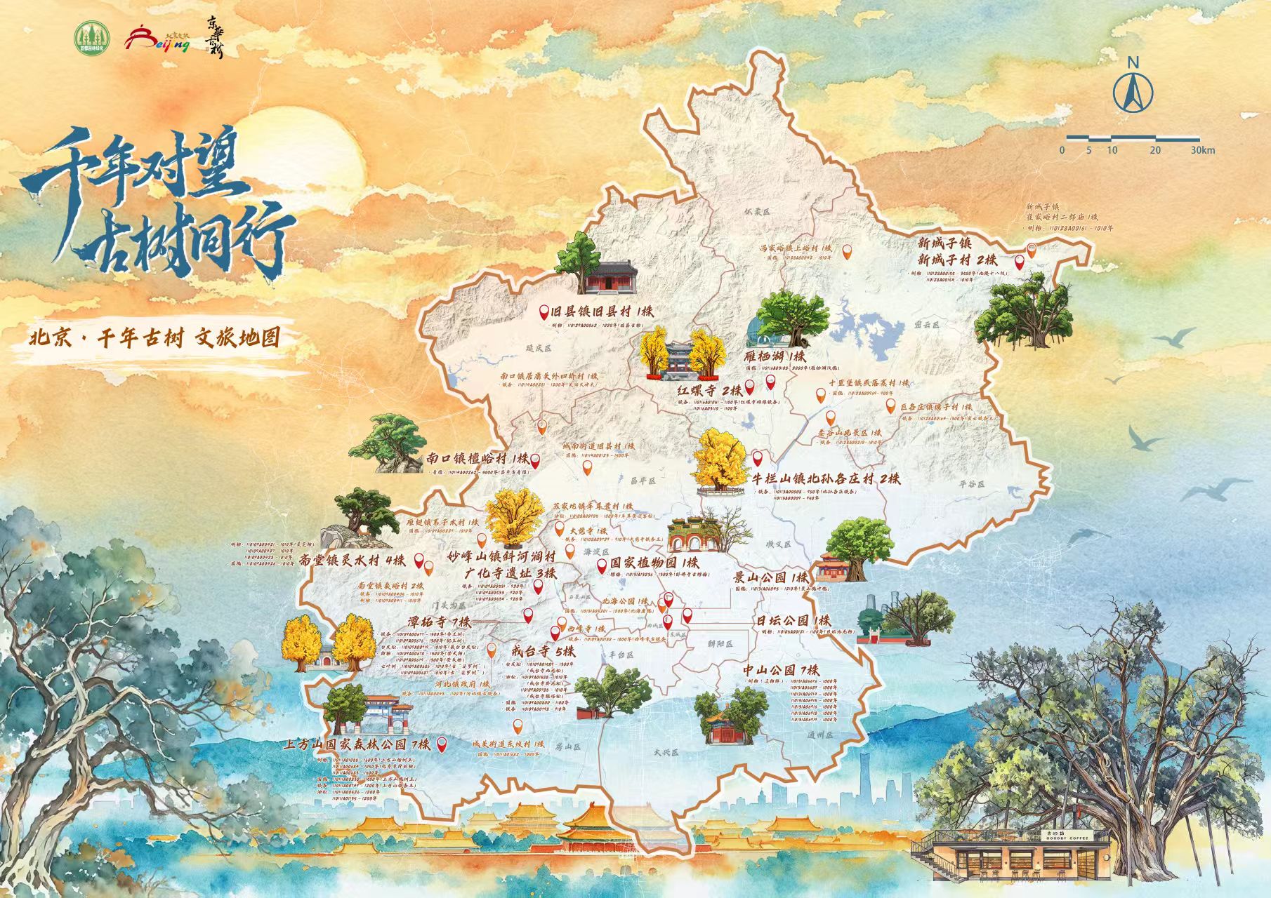 北京发布千年古树打卡地图 北京发布千年古树打卡地图
