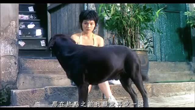 周杰伦《轨迹》前奏勾起青春回忆，唱出爱而不得怅惘