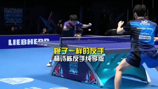 林诗栋一日5赛，身兼四项考验体能储备