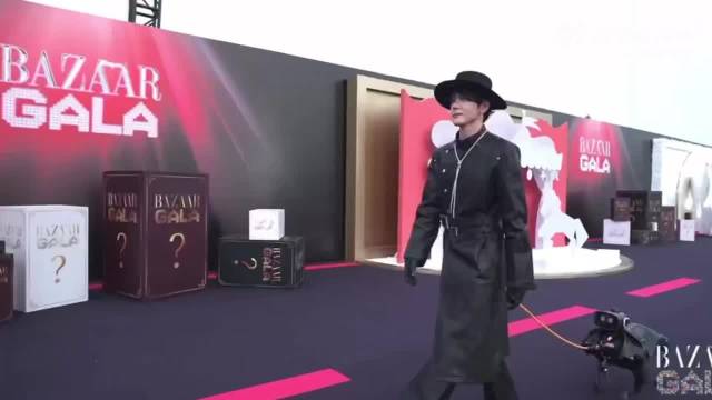 曾舜晞携机器狗走芭莎红毯，赛博造型酷炫