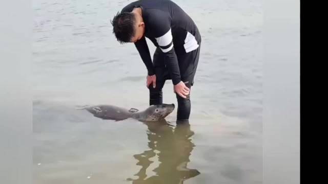 娜娜好喜欢黑衣小哥，谁能拒绝胖乎乎的小可爱啊