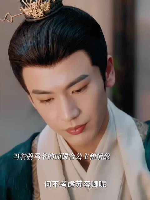 裴文宣开启追妻火葬场，不再让苏容卿，小心眼吃醋暴露