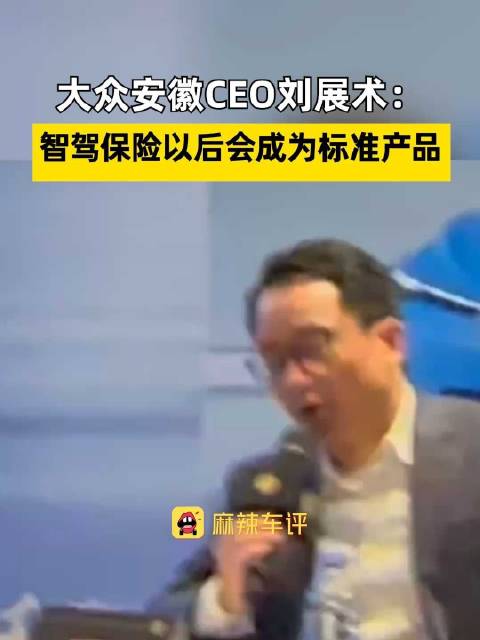 刘展术称智驾保险将成标配
