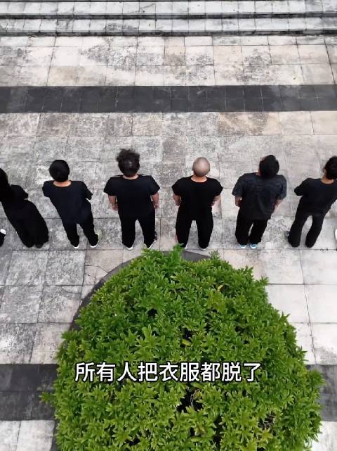 《寄生虫》 有没有人告诉我这个恐怖吗？ 剧情演绎 天舒班 娜娜
