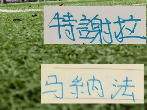 海港季还能留安佩姆和让·克劳德 申花还会续约马纳法+特谢拉吗