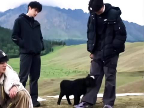 张极陈瑶两个人共同点大概就是磁场比较干净