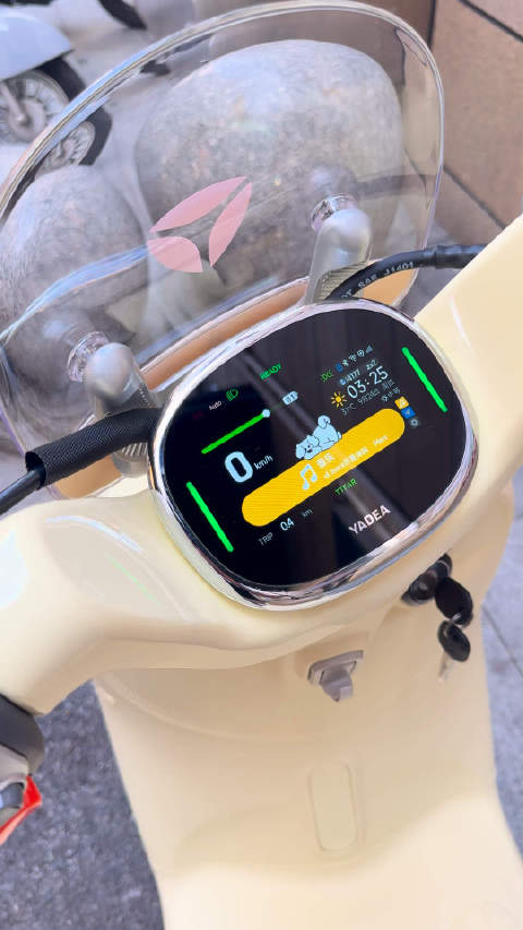 今天提雅迪 明日提奥迪 他日就提布加迪