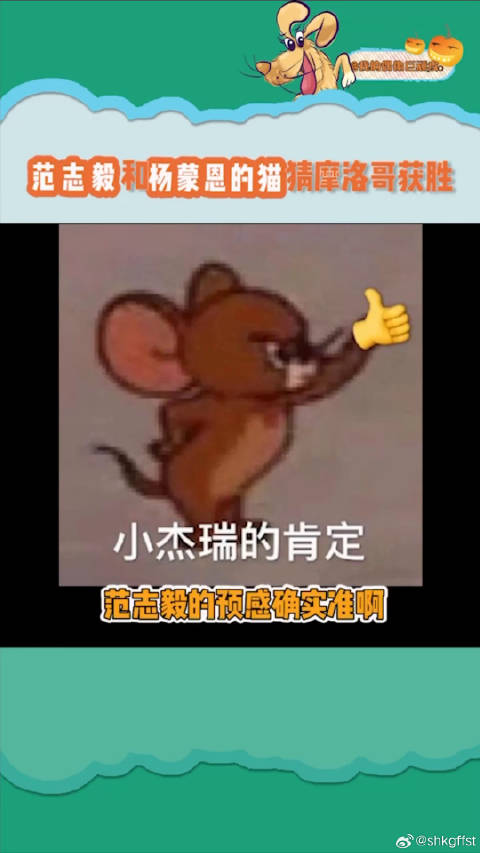 范志毅和杨蒙恩的猫预测摩洛哥获胜